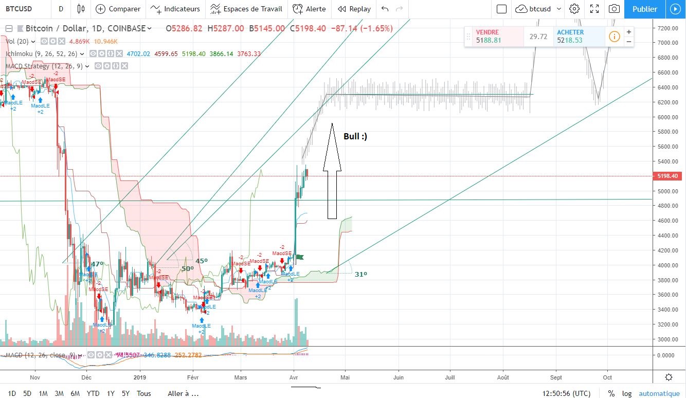 btc-bull-06-bullzoom2019.jpg