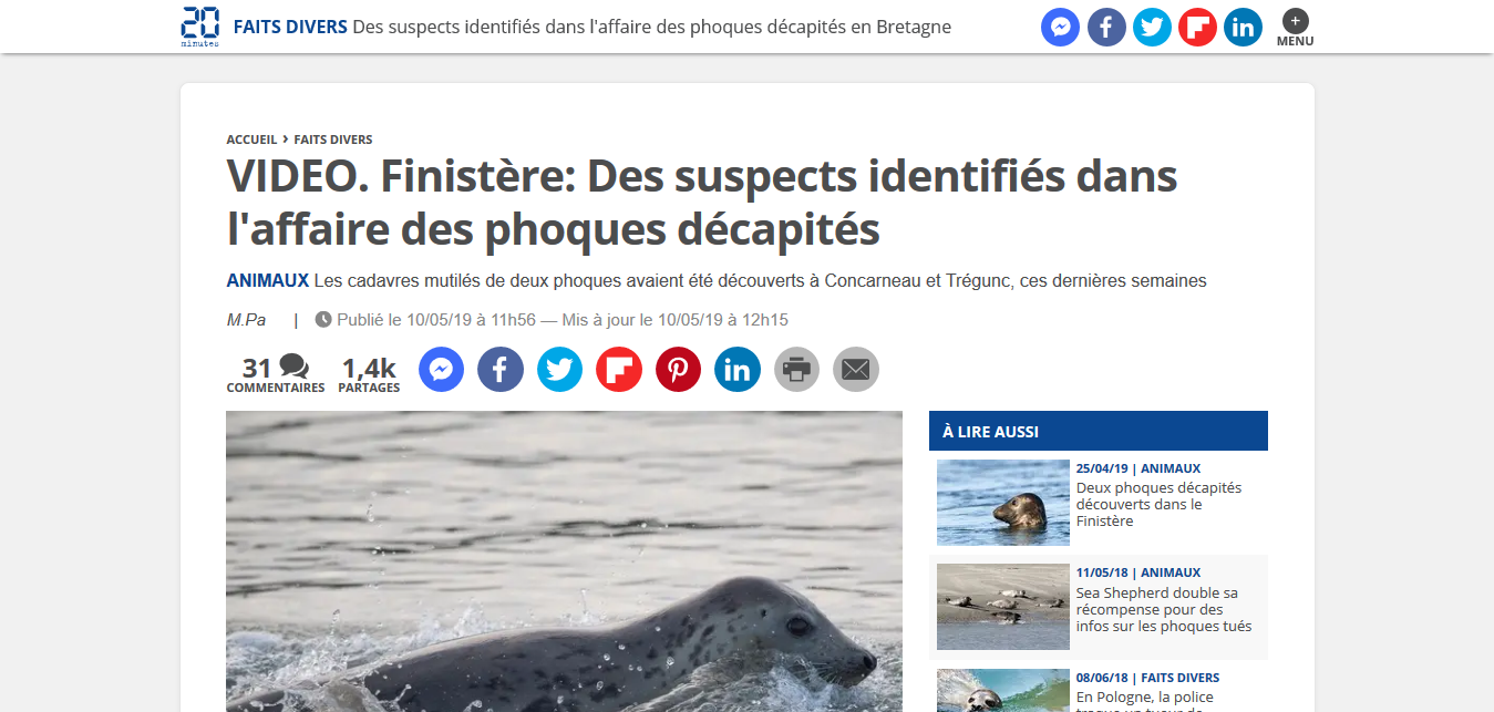 Screenshot_2019-05-10 Des suspects identifiés dans l'affaire des phoques décapités en Bretagne.png