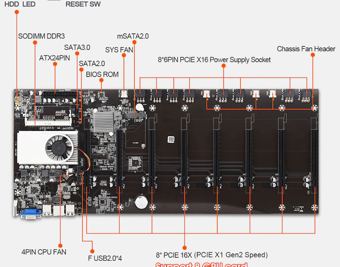 BTC-37.jpg