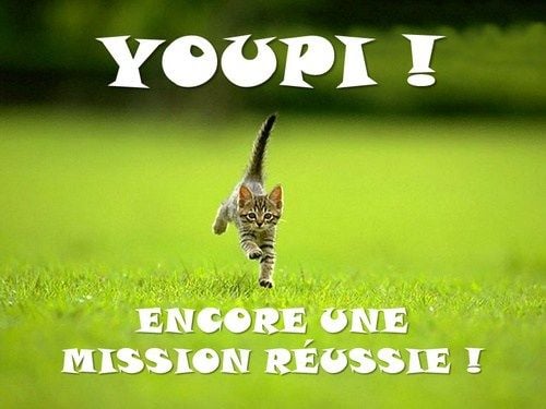 chaton-youpi-encore-une-mission-réussie.jpg